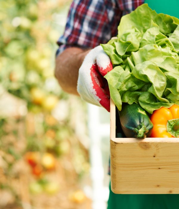 cerca-caja-verduras-maduras