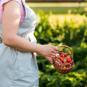 Agricultora con fresas